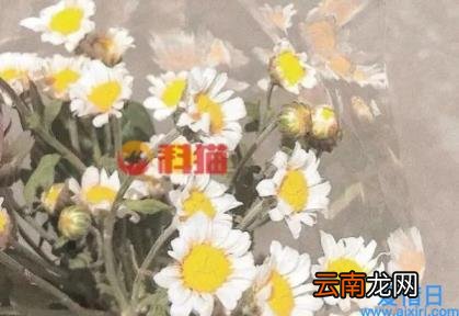 如何开好一个服装店 怎么开好服装店实体店