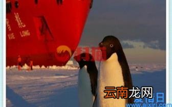 cpu测试软件有哪些 cpu性能检测工具