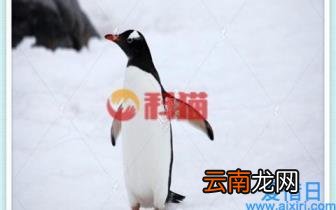 指定的网络名不再可用怎么解决 win系统解决指定的网络名不再可用