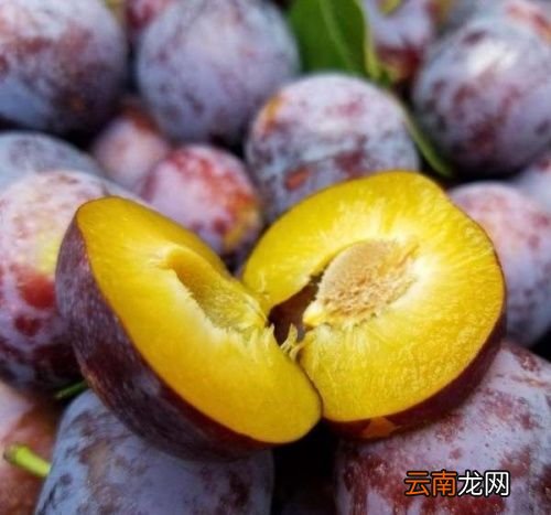 吃李子对人有什么好处