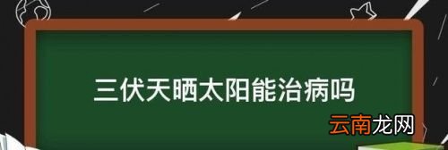 三伏天晒太阳有用吗