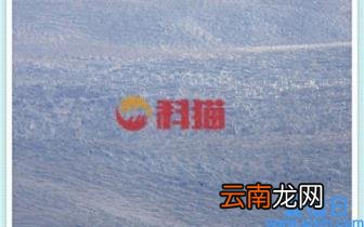 怎么举报垃圾短信骚扰 短信骚扰投诉最有效的办法