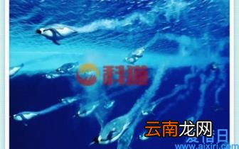 新版微信表情含义图解大全 微信表情符号意思全解图片对照表