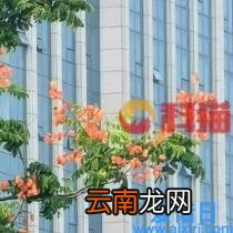 最好的系统优化软件哪个好 windows电脑系统优化软件