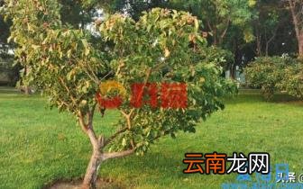最好的系统优化软件哪个好 windows电脑系统优化软件