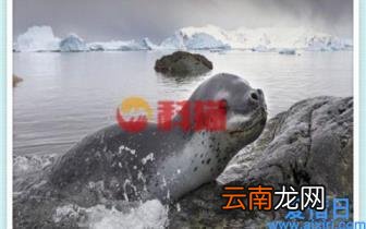 最好的系统优化软件哪个好 windows电脑系统优化软件
