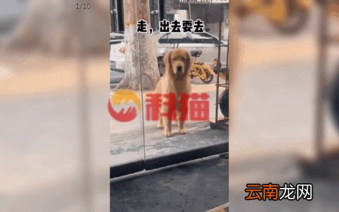 游戏加速原理是什么 网游加速器降低延迟的原理
