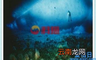 社会心理学理论有哪些 社会心理学主要4个流派的主张观点