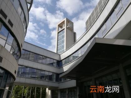 荣耀畅玩6x参数 荣耀畅玩6x参数配置