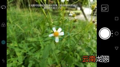 荣耀畅玩6x参数 荣耀畅玩6x参数配置