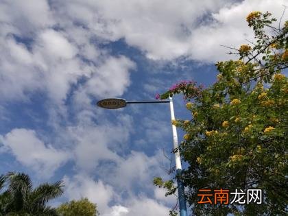 荣耀畅玩6x参数 荣耀畅玩6x参数配置