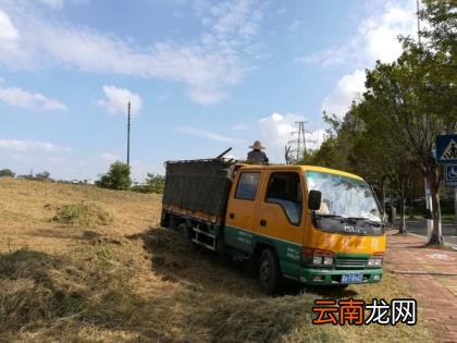 荣耀畅玩6x参数 荣耀畅玩6x参数配置