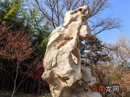 拍照哪款手机好 十大最佳拍照手机排名