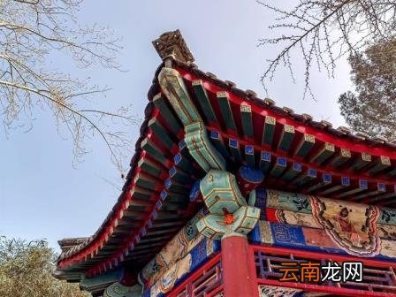 拍照哪款手机好 十大最佳拍照手机排名