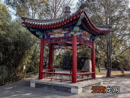拍照哪款手机好 十大最佳拍照手机排名