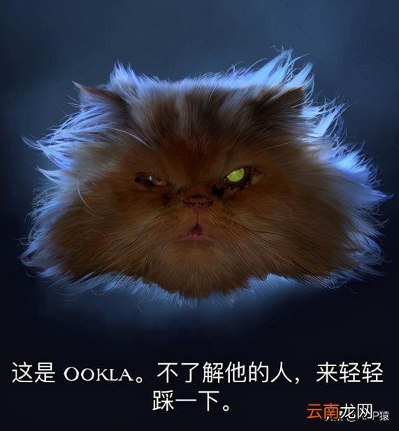 测速度的软件 免费看车速超快软件