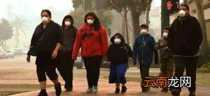 杨舒平后续怎样了 杨舒平最新情况现状