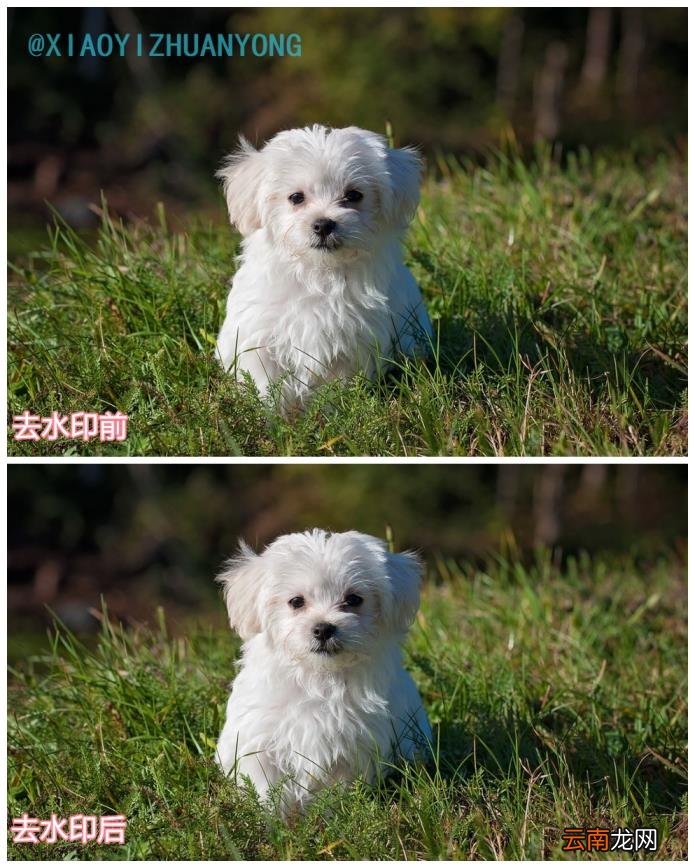 如何去图片水印 去除图片水印的方法