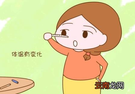 最准确排卵日计算器有哪个 计算月经和排卵期的app推荐