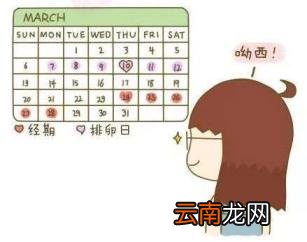 最准确排卵日计算器有哪个 计算月经和排卵期的app推荐