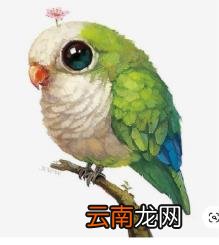 动漫logo设计 动漫二次元图案标志