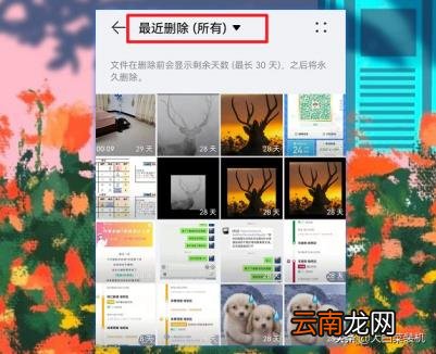 怎么释放内存 释放内存的方法
