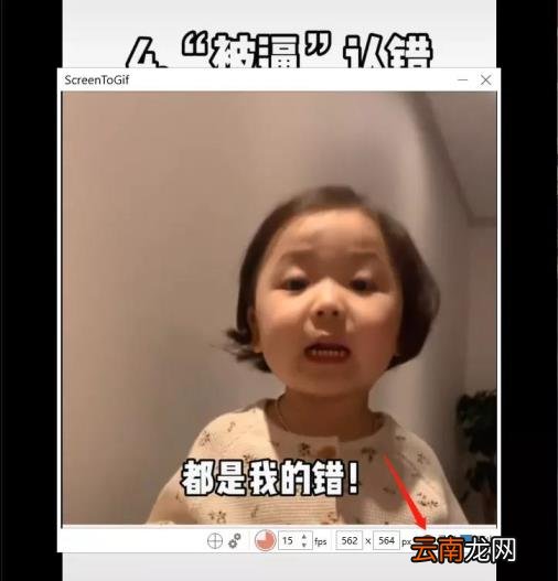 gif在线制作器推荐 免费gif制作器软件