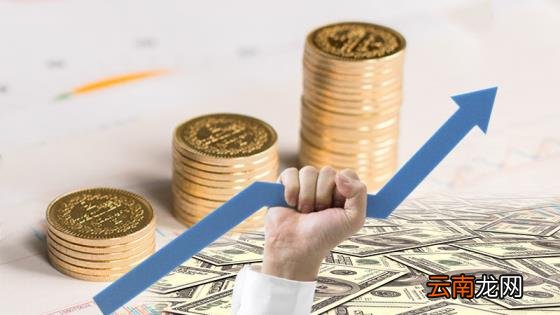 车险保费计算 汽车保险报价计算器