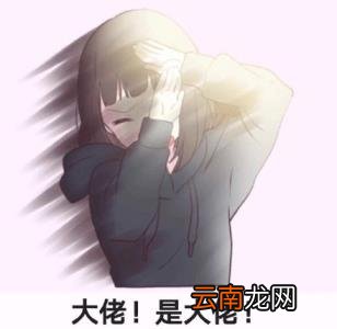 播放器哪个好用又免费 免费好用的播放器推荐