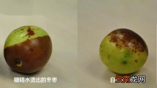 吃冬枣对身体有害吗