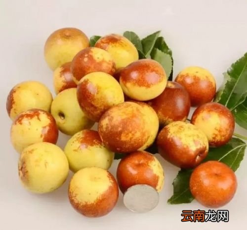 吃冬枣的好处有哪些