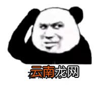 好用的动态壁纸软件推荐 好用的壁纸软件有哪些