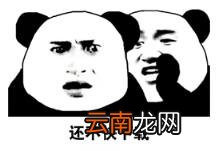 好用的动态壁纸软件推荐 好用的壁纸软件有哪些