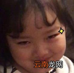 秒杀软件哪个靠谱 准点抢购神器app