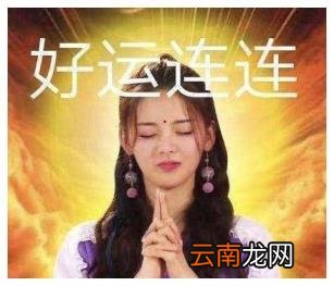 秒杀软件哪个靠谱 准点抢购神器app