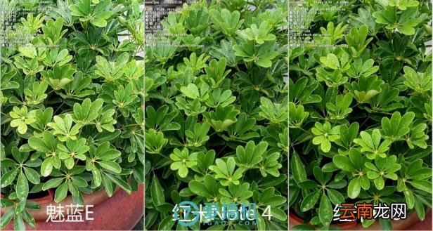红米note4好用嘛 红米note4手机参数配置