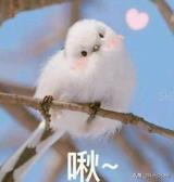 电脑怎么查看cad文件 查看cad文件步骤