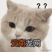 电脑怎么查看cad文件 查看cad文件步骤