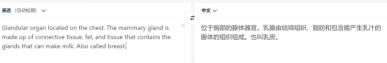 免费英文翻译推荐 好用的免费英文翻译软件