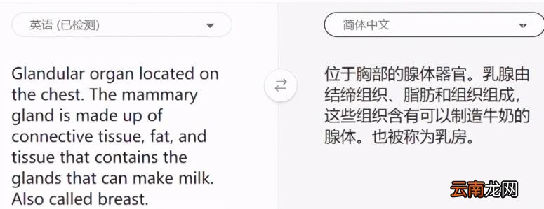 免费英文翻译推荐 好用的免费英文翻译软件