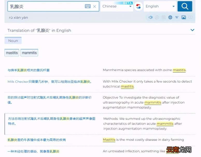 免费英文翻译推荐 好用的免费英文翻译软件