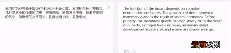免费英文翻译推荐 好用的免费英文翻译软件