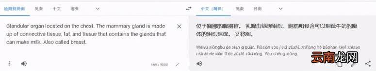 免费英文翻译推荐 好用的免费英文翻译软件
