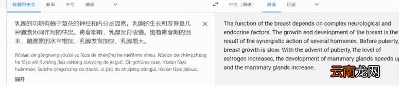 免费英文翻译推荐 好用的免费英文翻译软件