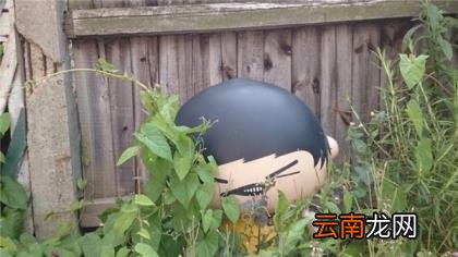 索尼z4详细参数 索尼z4平板测评