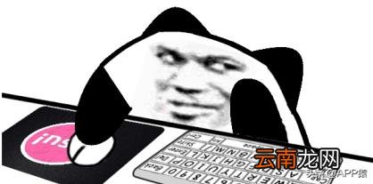 pdf免费阅读器哪个好用 支持重排的pdf阅读器