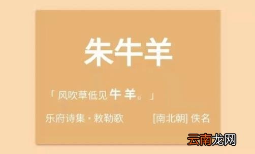 取名器怎么样 免费起名神器
