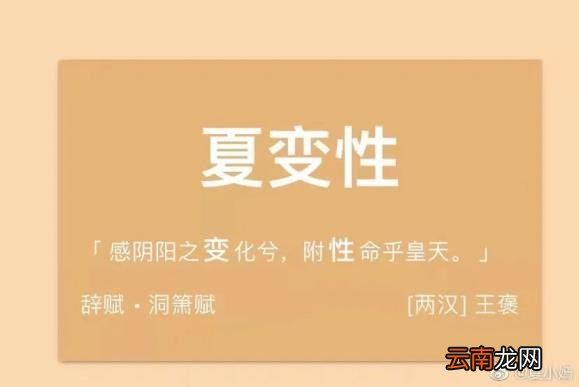 取名器怎么样 免费起名神器