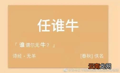 取名器怎么样 免费起名神器