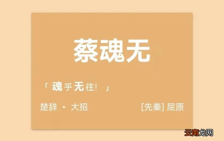 取名器怎么样 免费起名神器